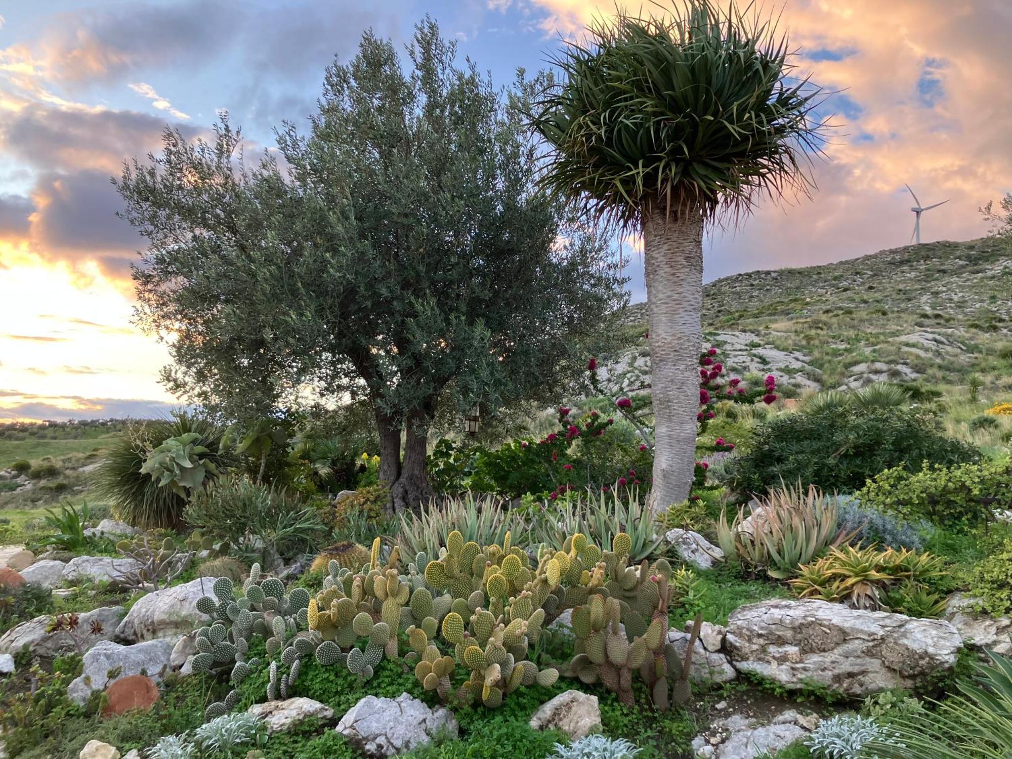 Casa Balata Farm House Realmonte Luaran gambar